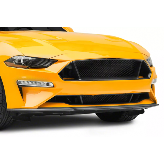 Unterer Frontgrill (FORD MUSTANG 2018-2020 GT, Ecoboost)