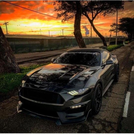 gt350-style-front-bumper-unpainted-turn-signals-leddrl-mustang-2018-2021-ecoboost-gt-2J7xteEAuRi4Hm